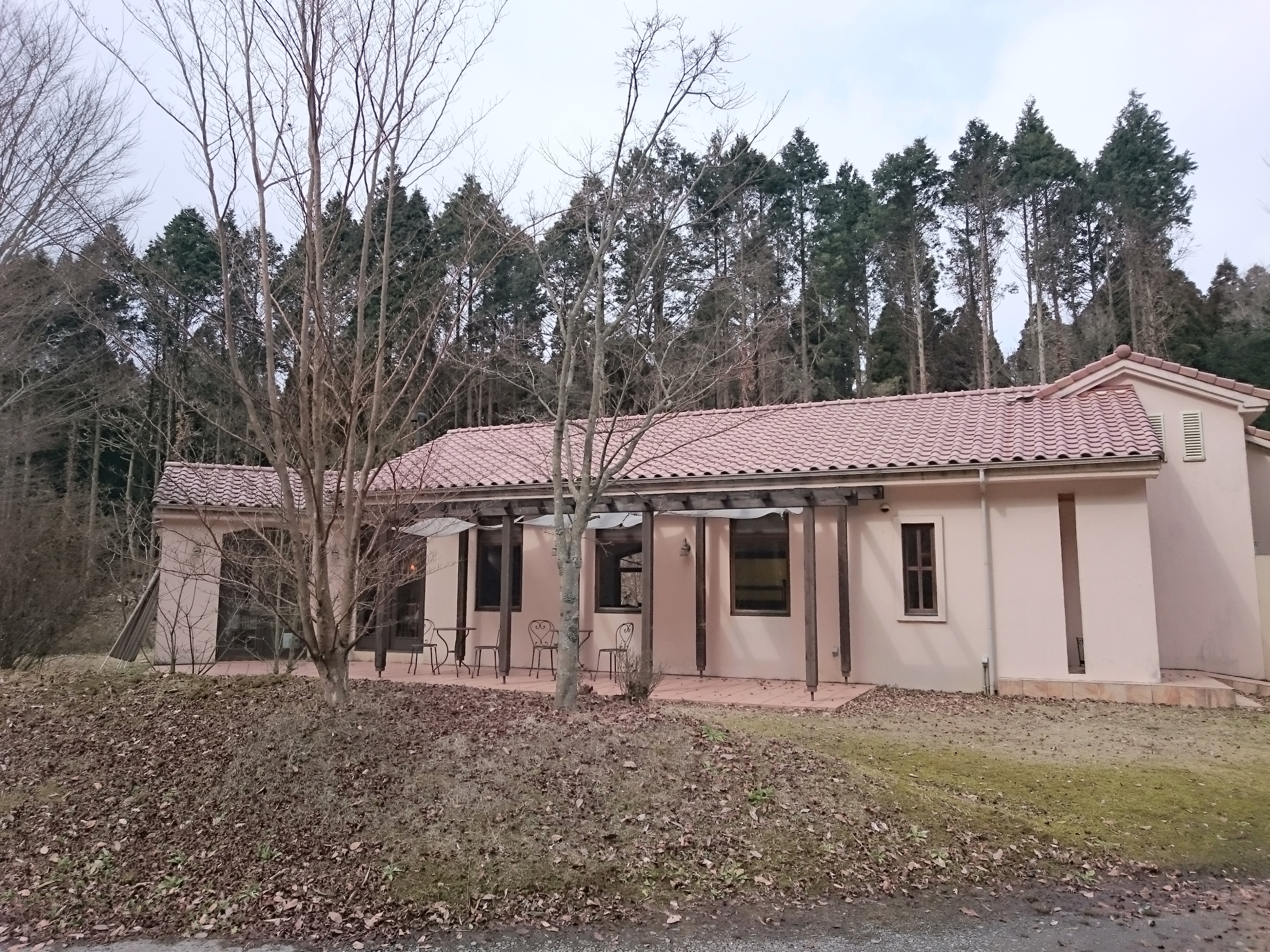 ブラッセリー ラシュレ